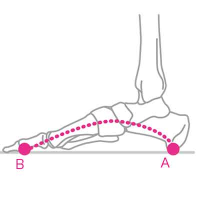 健康な足には3つのアーチがある