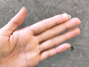 【シースルーバングの作り方】ホットカーラー×ドライヤーで前髪をクセづきやすく!