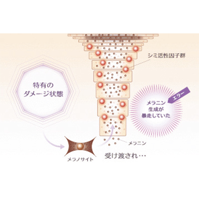 日焼けすると赤くなるタイプのケアとは？