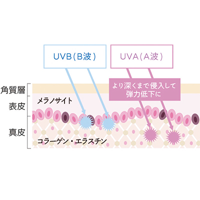 日焼けすると赤くなるタイプのケアとは？