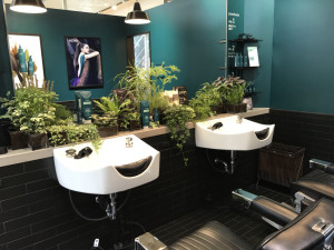 aveda%e2%91%a1