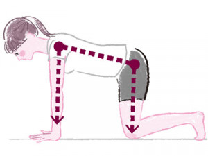 胴長ずんぐり脚を解消！骨盤を支える腹筋を鍛えるストレッチ