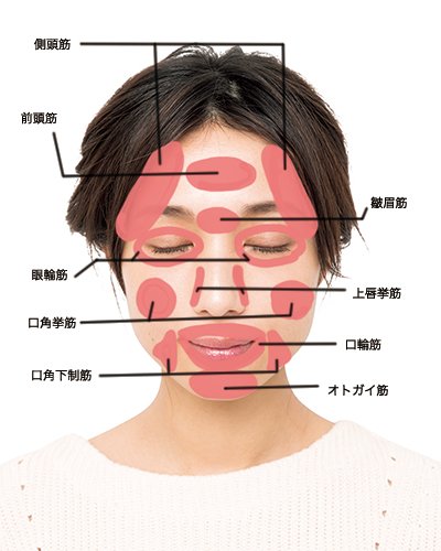 顔の筋肉を鍛える方法 小顔になる習慣をつけよう 美的 Com