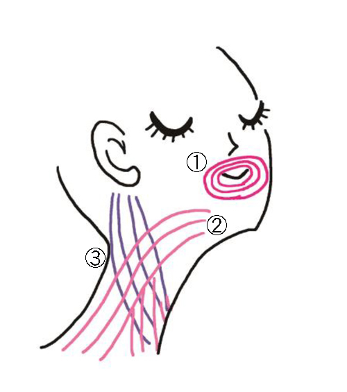 年齢が出る首のシワを改善したい その原因 マッサージやストレッチなどおすすめケア法 美的 Com