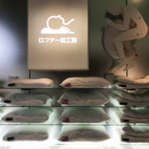 その体のコリ、合わない枕のせいかも!?【肩こり・腰痛対策】