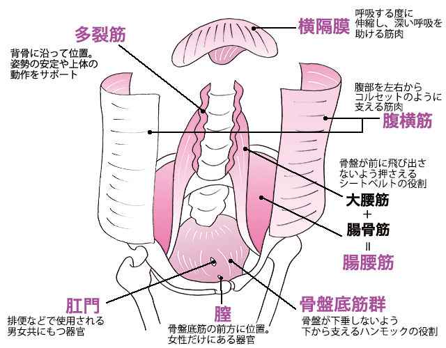 骨盤のゆがみを整える膣トレーニング