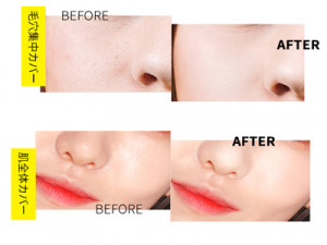 ションリ コットンブラーパウダー