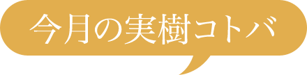 今月の実樹コトバ