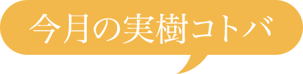 今月の実樹コトバ