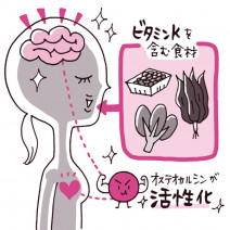 カルシウムだけでは不十分！？ 食生活の改善で「骨」をもっと強く、健康に！