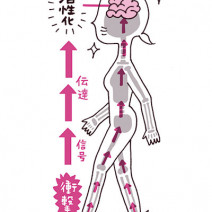 骨は適度に衝撃を与えていないと、エイジングが加速する！？ メカニズムを医師が解説！