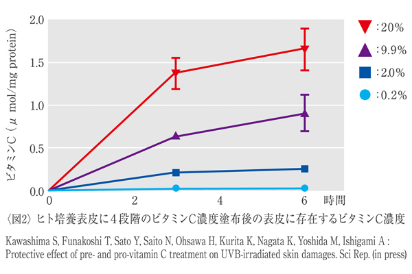 高濃度のビタミンCが複合的な肌悩みに◎