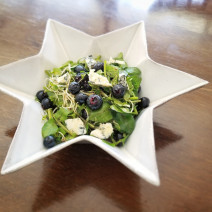 クレソン食べて日差しに負けない肌に！【クレソン、ブルーベリー、ゴルゴンゾーラチーズのサラダ】Today’s SALAD #74