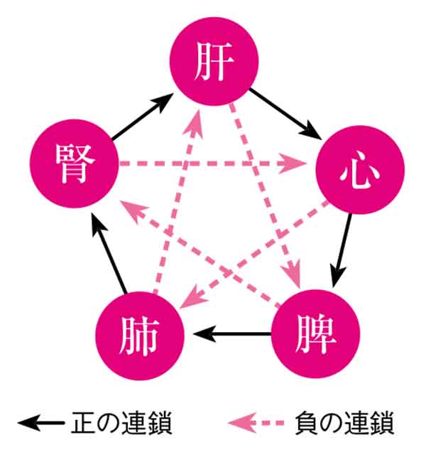 30過ぎると痩せにくくなるのはなぜ？