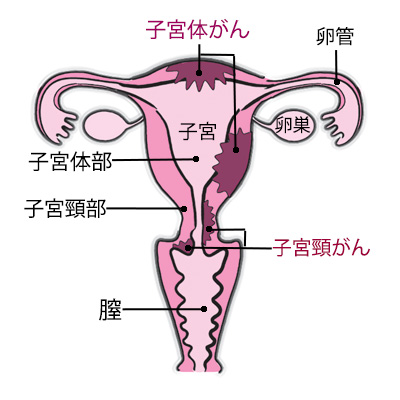 病気の恐れも