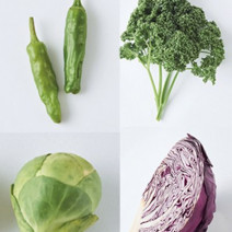 体の中と外から老化の原因にアプローチ！｜老化防止に効果的な食べ物・お茶・身体のケア方法も伝授