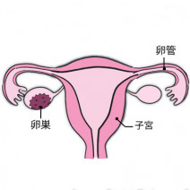 子宮頸がん予防（HPV）ワクチン接種が日本で進んでいない理由は？