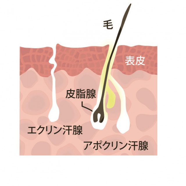 ニオイの原因とは？