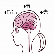 知っておきたい頭痛の疑問Q＆A｜働く女性に頭痛が多いのはなぜ？天気の影響は？