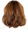 2011sp_m3_back-95x111