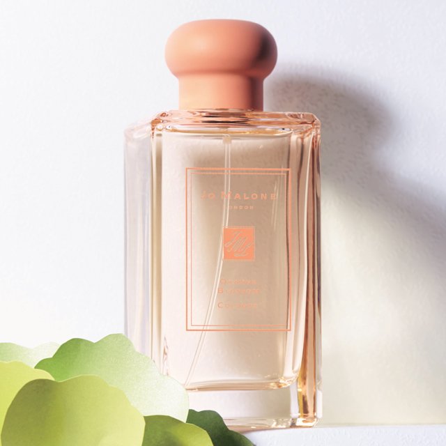 コイン ケース 車 芳香 剤 いないいないばあ 19 年 香水 ランキング Shinobazu Prj Jp