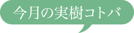 今月の実樹コトバ