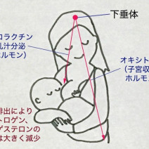 これが出産後のリアル！産後うつ、ぽっこりお腹…産後トラブルはみんなどうしてる？