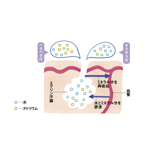 汗 アンモニア 臭 腎臓