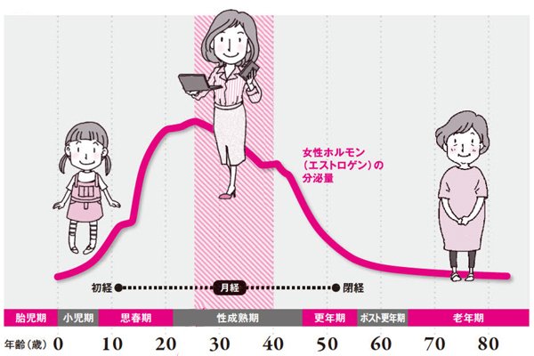 体温 更年期 基礎