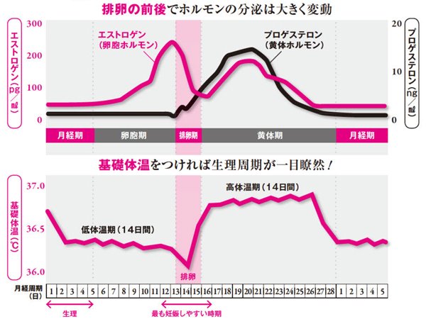 排卵 日 生理 の 何 日前