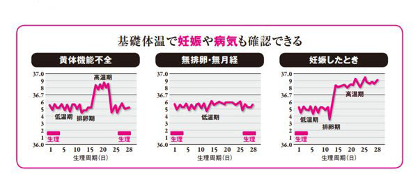 生理期間や周期を知り体のsosに気付こう 不調の原因と改善策をご紹介 美的 Com