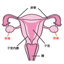 生理期間や周期を知り体のSOSに気付こう！不調の原因と改善策をご紹介