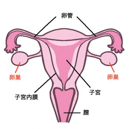 生理期間や周期を知り体のSOSに気付こう！不調の原因と改善策をご紹介