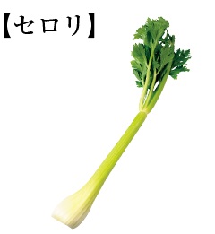 セロリは実は今が旬 栄養満点の万能野菜 おいしく食べて健康になれるレシピ 美的 Com セロリは実は今が旬 栄養満点の万能野菜 おいしく食べて健康になれるレシピ 美的 Com