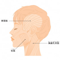 あごが痛い、口が開かない、音がなる…etc.あごトラブルはどうしておきるの？|『美的』世代に多い「あご悩み」