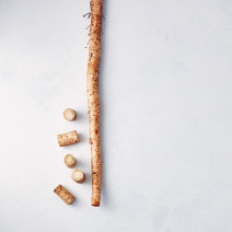 血糖値を上げない食べ物って？ 一緒に実践すべき「食べ方」と「レシピ6つ」