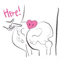 仙骨は生理の痛みやダイエットにも影響する重要なパーツ！温活＆ストレッチで血流UP