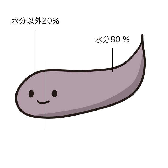 うんちの状態も目安に