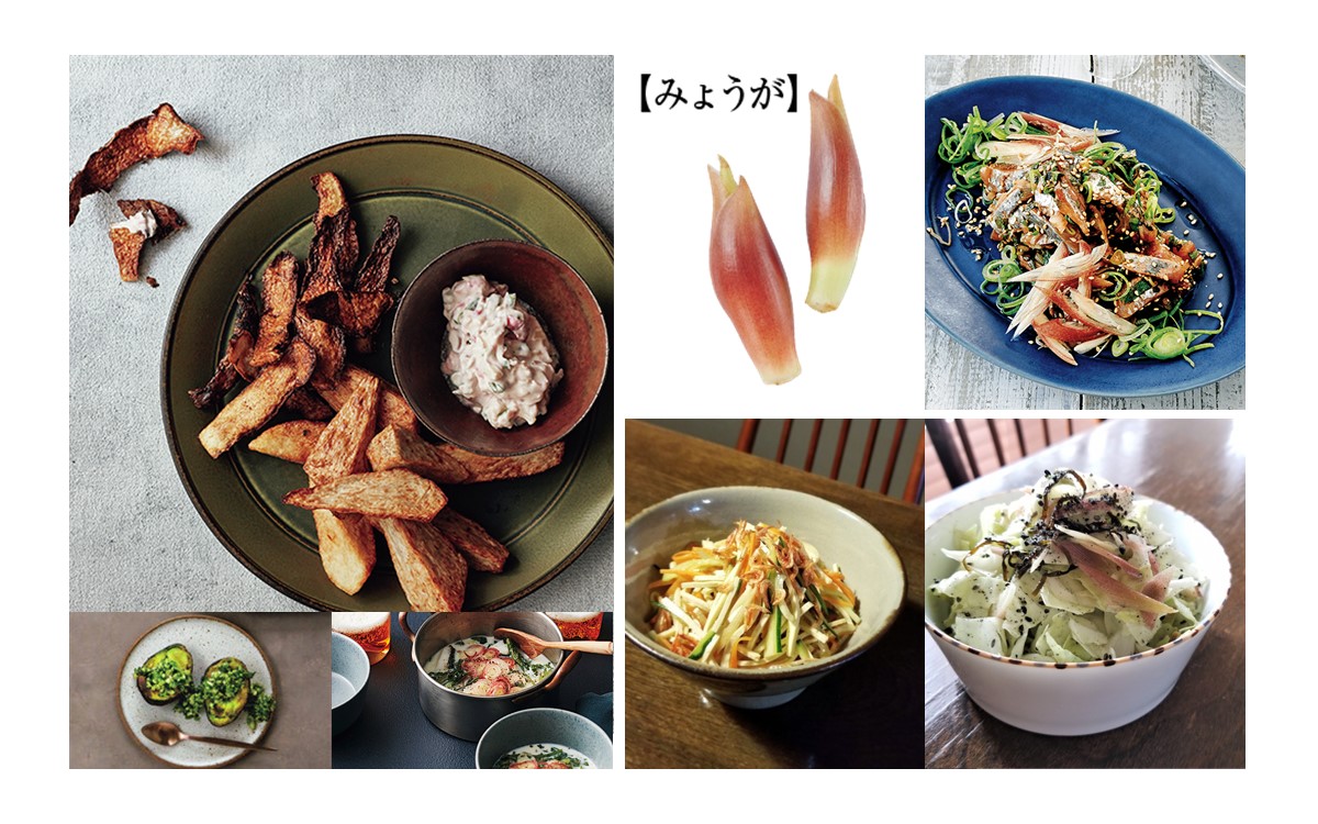 みょうがの栄養は 美容 に効果的 おすすめレシピ7選 美的 Com みょうがの栄養は 美容 に効果的 おすすめレシピ7選 美的 Com