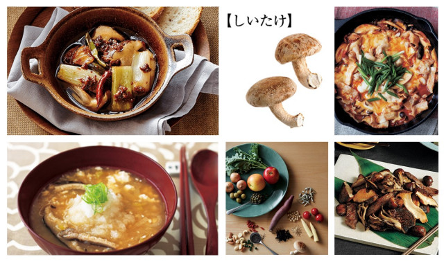 意外と知らない しいたけの栄養 おすすめレシピ11選 美的 Com