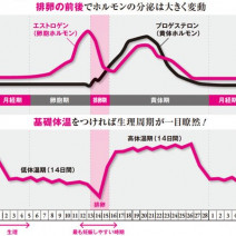 生理周期を正しく知れば健康・美容に繋がる！月経不順や排卵についての基礎知識