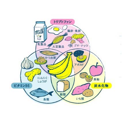 トリプトファンはサプリじゃなくても摂れる！良質な睡眠をサポートする食べ物