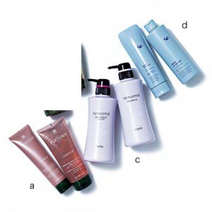 良質なシャンコン