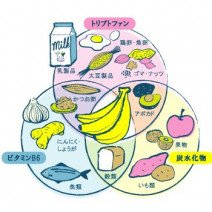 トリプトファンって何？たんぱく質に含まれる快眠に必要な成分を専門家が解説