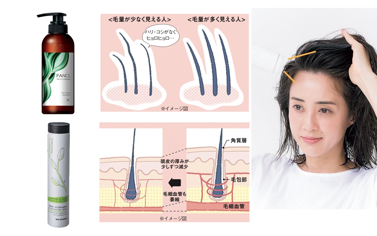 髪が細い と お悩みの方に 4つの対策ケア と スタイリング方法 美的 Com 髪が細い と お悩みの方に 4つの対策ケア と スタイリング方法 美的 Com