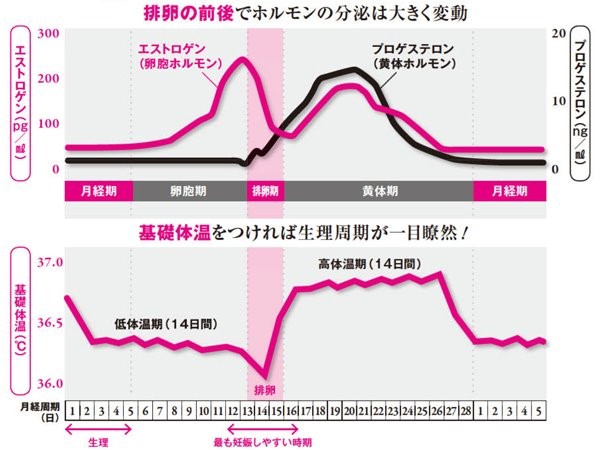 周期 計算 生理