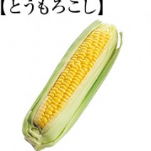 トウモロコシの糖質・栄養とは？おいしく食べれるレシピと一緒にチェック♪