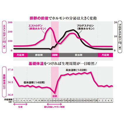 生理が2週間遅れてる 妊娠 医師に聞いた 不順の 原因 と 整える方法 美的 Com