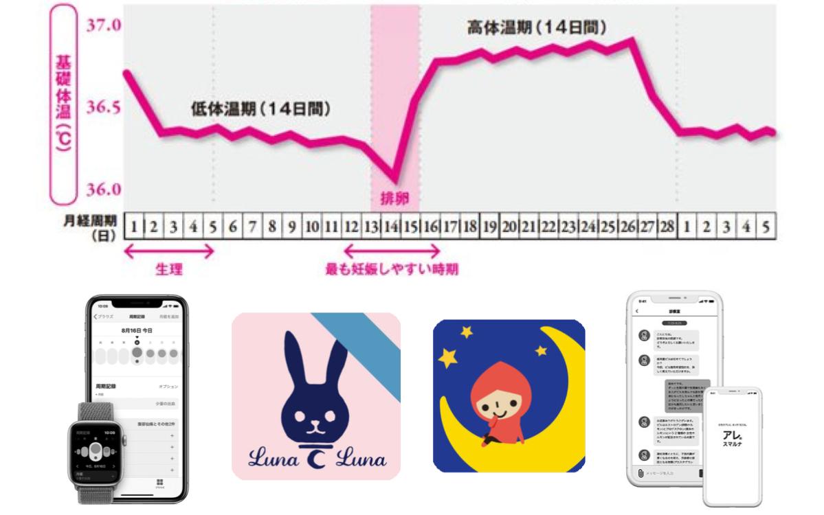 生理周期の 計算方法 目安 は 医師が解説 美的 Com