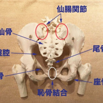 骨盤ベルトは産後のダイエットに有効？骨盤を締める体操などもご紹介！